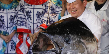 Thunfisch wird für halbe Million zu Sushi