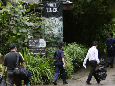 tiger_reuters
