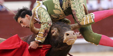 Torero