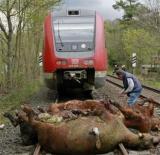 train