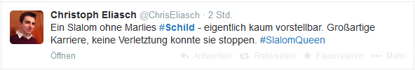 Marlies Schild tritt zurück
