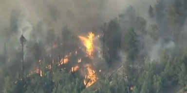 Heftige Buschbrände wüten in 9 US-Staaten