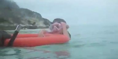 5-jähriges Mädchen schnorchelt mit Riffhaien