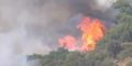 Heftige Waldbrände wüten auf den Kanaren