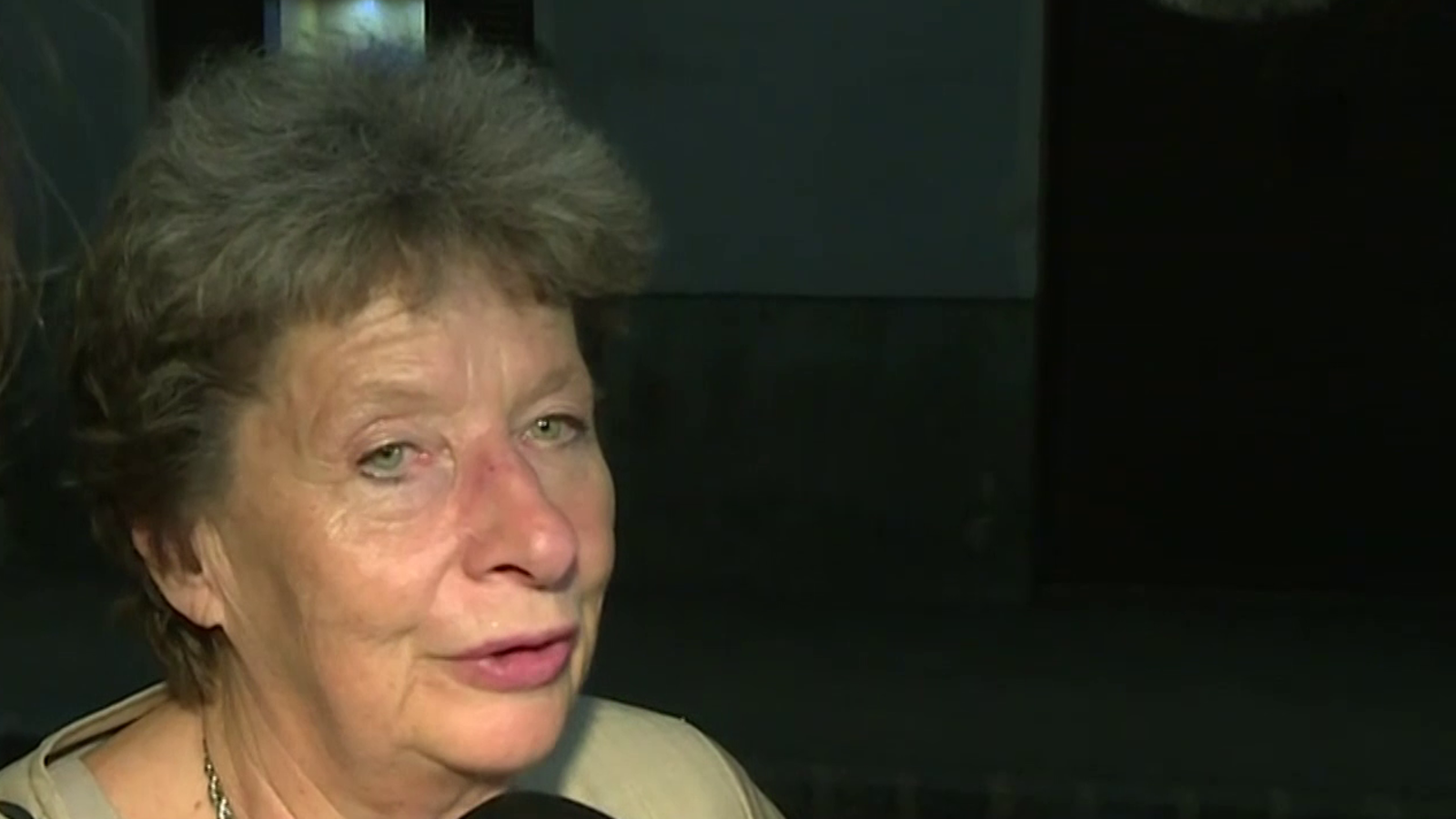 Ursula Stenzel über FPÖPläne