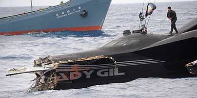 Walfänger versenken Tierschützer