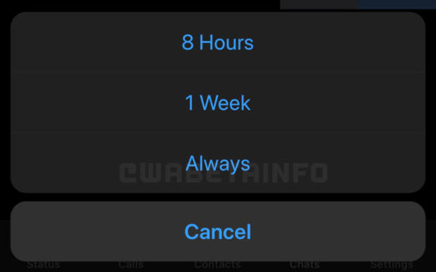 Neue WhatsApp-Top-Funktion kommt auch fürs iPhone