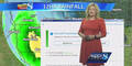 Windows 10 crasht Live-Wetterbericht