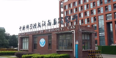 Wuhan Institut of Virology