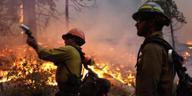 Yosemite-Waldbrand nach 2 Monaten gelöscht
